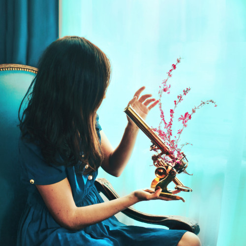 2024-JDEWAROQUIER-GALERIE2