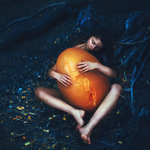 2024-JDEWAROQUIER-GALERIE3