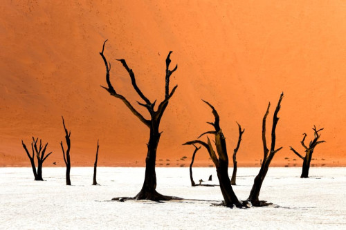 2024-MPORTILLO-GALERIE1